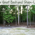 backyard title