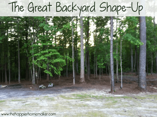 backyard title