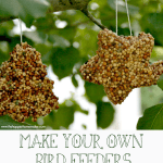 bird feeder