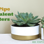 pvc pipe succulent planter